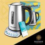 Smart Home Voice Control Kettle