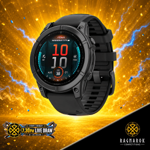 Garmin fenix E Smartwatch - Slate Gray Steel, Black Band
