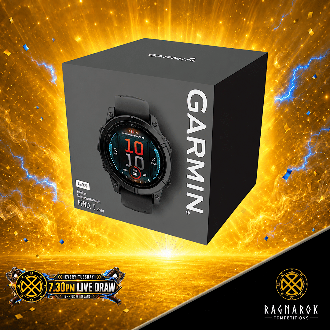 Garmin fenix E Smartwatch - Slate Gray Steel, Black Band - Image 2